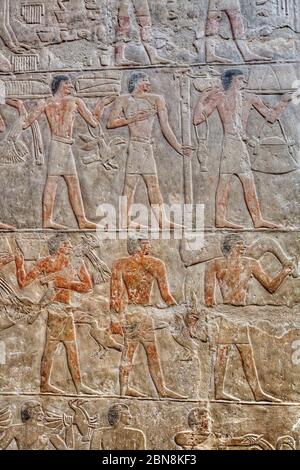 Rilievi, Mastaba di Mereruka, Necropoli di Saqqara, Sito Patrimonio dell'Umanità dell'UNESCO, Saqqara, Egitto Foto Stock