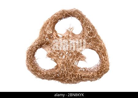 Spugna di loofah primo piano isolata su bianco. Spugna Luffa, scrubber in fibra, detergente di bellezza. Scrub tailandese per una pelle pulita. Alternativa alla plastica, z Foto Stock