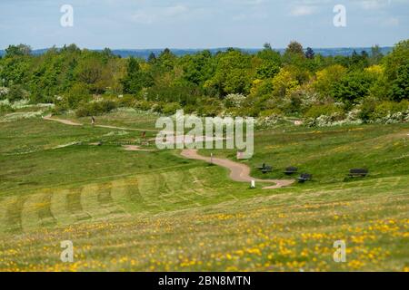 Dunstable, Bedfordshire, Regno Unito. 13 maggio 2020. Il vivace Chiltern Hills Gateway Center è quasi deserte il primo giorno delle restrizioni di blocco rilassato nel Regno Unito. Credit: Ben Flavell/Alamy Live News. Foto Stock