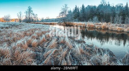 Il gelo copriva la riva del fiume all'alba. Foto Stock