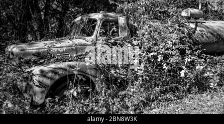 Vecchio camion in erbacce Foto Stock