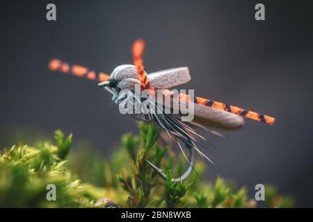 Mosca asciutta per la pesca del mosca primo piano. Foto Stock