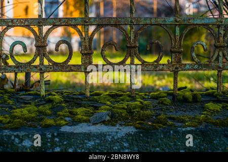 recinzione in ferro con verde muschio è molto bella Foto Stock