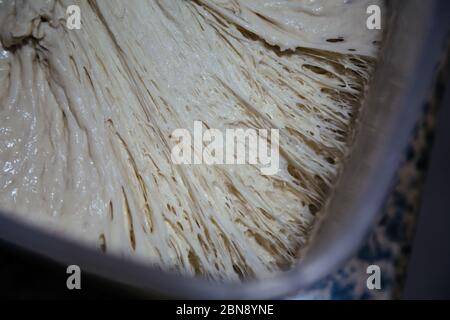 Panoramica primo piano dell'impasto frizzante e attivo pronto all'uso. Ricetta: Farina bianca, acqua, sale, lievito fresco - metodo di pasta spugna Foto Stock