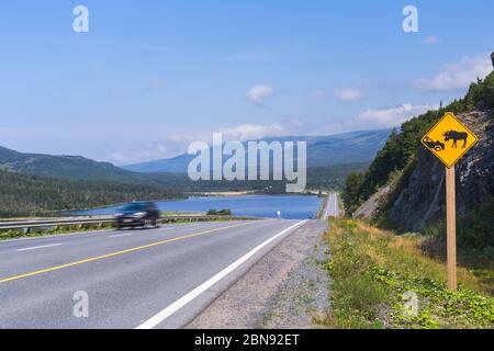 Segno di avvertimento del pericolo di alci, Parco Nazionale Gros Morne, Terranova e Labrador, Canada Foto Stock