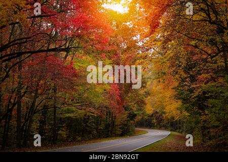 Tortuosa strada tra alberi autunnali nelle Great Smoky Mountains Foto Stock