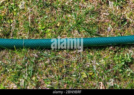 Un frammento di tubo da giardino rinforzato verde è sdraiato sul terreno coperto di erba verde. Foto Stock