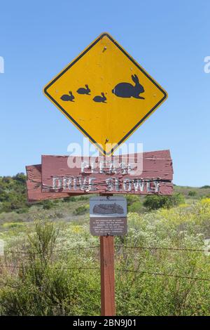 Cartello giallo di avvertenza sulla fauna selvatica che mostra l'area di attraversamento dei conigli adulti e bambini che ricorda agli automobilisti di guidare lentamente Foto Stock