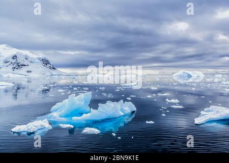 Galleggianti di ghiaccio vicino all'Antartide. Foto Stock