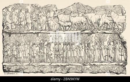 Bassorilievo assiro dal palazzo di Sardanapalo, convoglio di prioners. Antica illustrazione incisa del 19 ° secolo, le Tour du Monde 1863 Foto Stock