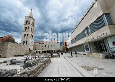 La Chiesa di San Donato e il Campanile della Cattedrale di Sant'Anastasia nel centro della vecchia Zara, Croazia. Foto Stock