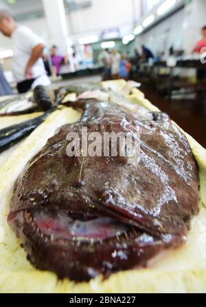 Pesce pescatore (Lophius piscatorius) in vendita sul mercato di Zara in Croazia. Foto Stock