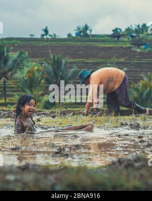 UBUD, INDONESIA - 07 gennaio 2018: Povera ragazza sfavorita gioca in padi di riso mentre madre lavora duro. Foto Stock