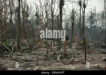 Case danneggiate e alberi morti dall'eruzione del vulcano Merapi all'interno di 5 km zona di evacuazione, Kepuharjo, vicino Jogyakarta, Giava Centrale, Indonesia Foto Stock