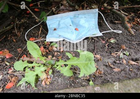 Amburgo, Germania. 13 maggio 2020. Una guardia della bocca (bocca e maschera del naso) è sdraiata nei cespugli lungo una strada. Credit: Marco Bodo/dpa/Marco Bodo/dpa/Alamy Live News Foto Stock