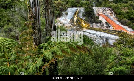 Area geotermica Orakei Korako, Nuova Zelanda, Isola del Nord, Taupoi Foto Stock