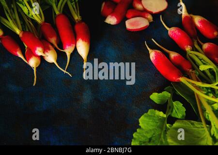 ravanello su sfondo blu disposto in gruppi Foto Stock