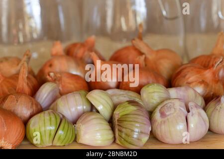 Allium cepa (gruppo Aggregatum) 'Red Sun' scalogni pronti per il decapaggio di alcuni sbucciati Foto Stock