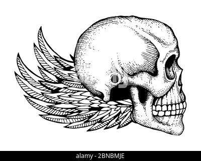 Inchiostro bianco e nero abbozzato cranio umano con ali isolate su sfondo bianco. Immagine vettoriale dell'orrore del cranio e dell'ala Illustrazione Vettoriale