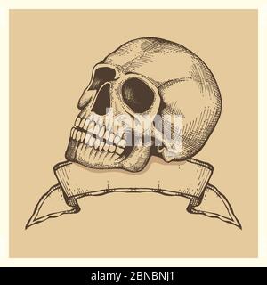Schizzo del cranio umano con banner a nastro - etichetta vettoriale in stile vintage o illustrazione di poster Illustrazione Vettoriale