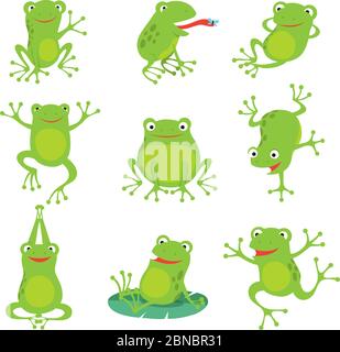 Carino cartoni animati rane. Verde croaking rostellare su foglie di loto in stagno. Caratteri animali vettoriali Set di disegno di rana anfibia, illustrazione della collezione di rane verdi Illustrazione Vettoriale