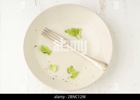 Cibo che rimane su un piatto sporco dopo pranzo vegano, cena o colazione con insalata finita. Foto Stock