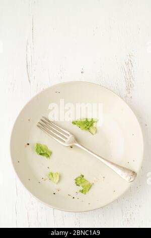 Cibo che rimane su un piatto sporco dopo pranzo vegano, cena o colazione con insalata finita. Foto Stock