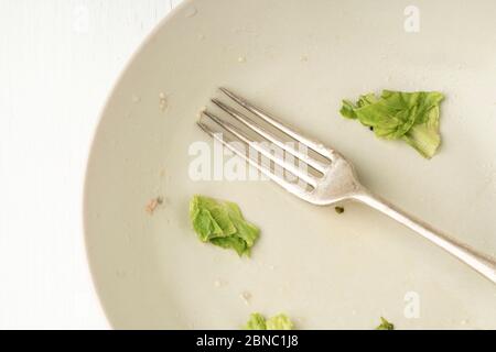 Cibo che rimane su un piatto sporco dopo pranzo vegano, cena o colazione con insalata finita. Foto Stock