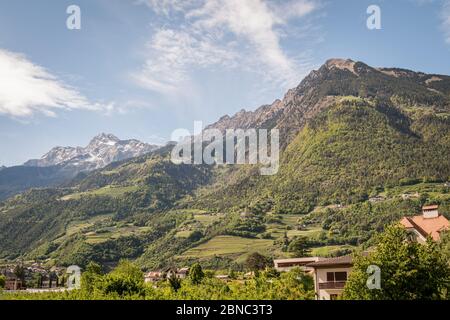 Monte Mutspitze (Monte Muta) e Tschigat a Merano, Merano Alto Adige, Alpi, Italia Foto Stock