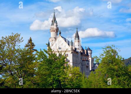 Castello di Neuschwanstein in Baviera circondato da boschi Foto Stock