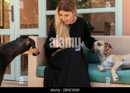 Bella marocchina arabo musulmana con lunghi capelli biondi sta interagendo con due cani Sloughi (levriero arabo). Autentico, vita reale, candida, et Foto Stock