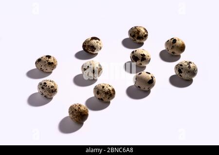 Layout creativo uovo quaglia su sfondo bianco. Modello di uova di quaglia. Buon concetto di pasqua. Design minimo. Spazio di copia, piatto, dall'alto Foto Stock