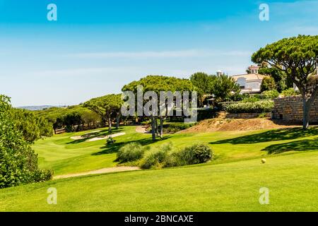 Bel campo da golf tra pini ad Algarve, Portogallo meridionale Foto Stock