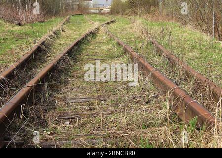 La ferrovia si estende in lontananza sullo sfondo di giovani verdi erba e alberi in primavera. Foto Stock