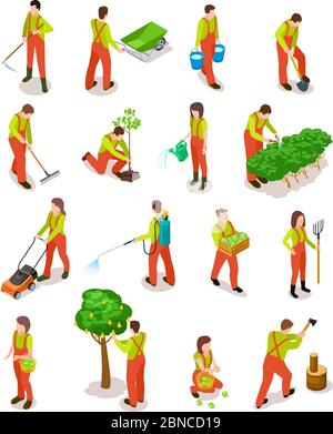 Giardinieri isometrici. Gli agricoltori lavorano in giardino. Persone in agricoltura rurale scena con alberi e piante. caratteri vettoriali 3d isolati. Illustrazione di pianta isometrica, lavoro e agricoltura Illustrazione Vettoriale
