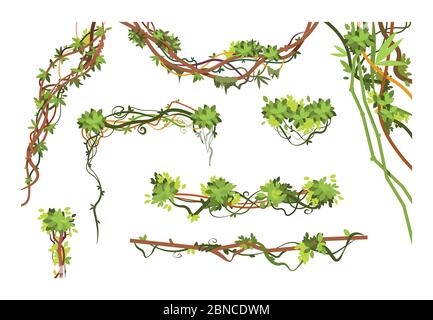 Rami di vite della giungla. Cartoni animati appesi liana piante. Giungla arrampicata verde pianta vettore raccolta. Illustrazione della pianta di ramo di liana, appendere la flora di foglia Illustrazione Vettoriale
