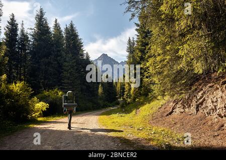 Turistico con grande zaino verde è a piedi lungo la strada nella foresta della valle di montagna nel parco nazionale di Karakol, Kirghizistan Foto Stock