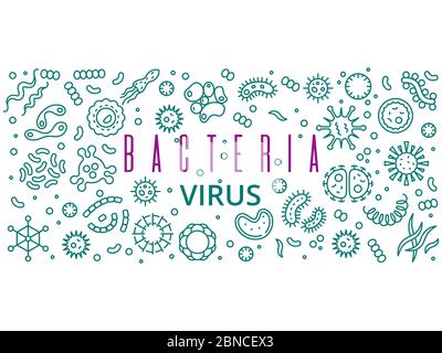 Design di poster vettoriali per batteri di linea, virus. Illustrazione dell'organismo di infezione batterica e batterica Illustrazione Vettoriale