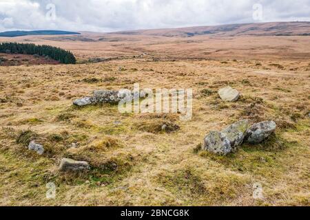 Antico cerchio di capanne su Scorhill giù vicino a Gidleigh, Dartmoor National Park, Devon, Inghilterra, Regno Unito. Foto Stock