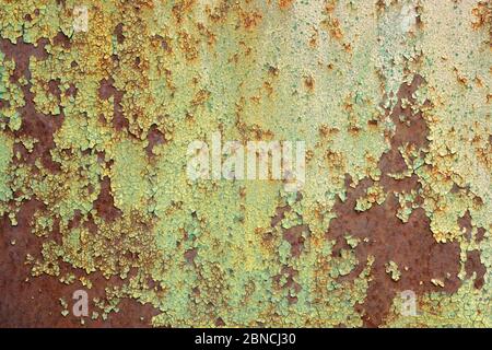 Fondo multicolore, superficie metallica arrugginita con vernice verde che sfaldano e cracking texture. Metallo arrugginito e danneggiato Foto Stock