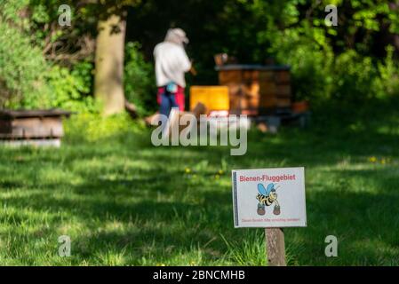 Magdeburgo, Germania. 06 maggio 2020. L'area di volo delle api è scritta su un cartello nello zoo di Magdeburg. Dietro di esso un apicoltore controlla i pettini di un alveare. Non appena arriva la primavera e le api si sciameranno, gli apicoltori devono controllare le loro colonie per vedere se sono sopravvissuti all'inverno e se c'è covata nei pettini. Credit: Fahren/dpa-Zentralbild/ZB/dpa/Alamy Live News Foto Stock