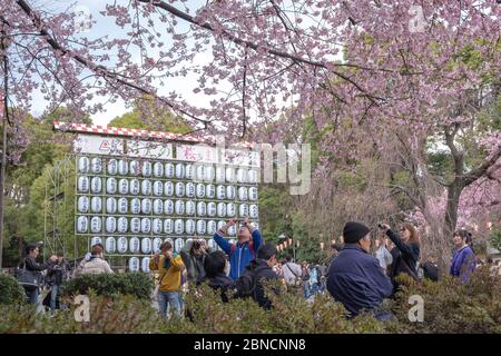 Tokyo, Giappone - 17 marzo 2019: Vista del Parco Ueno con gli alberi di Sakura e le persone non identificate durante il periodo dei fiori di ciliegia, conosciuto come il Sakur Foto Stock