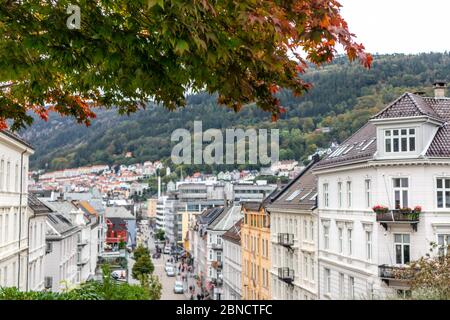 Camminando per le strade di Bergen, Norvegia. Albero d'autunno colorato con foglie verdi e rosse sulla strada dalla chiesa di San Giovanni alla città vecchia. Case sfocate nella parte posteriore Foto Stock