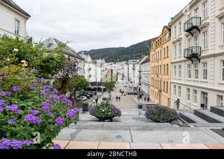 Camminando per le strade di Bergen, Norvegia. Fiori viola viola flox autunno colorato sulla strada dalla chiesa di San Giovanni alla città vecchia. Case offuscate in backgrou Foto Stock