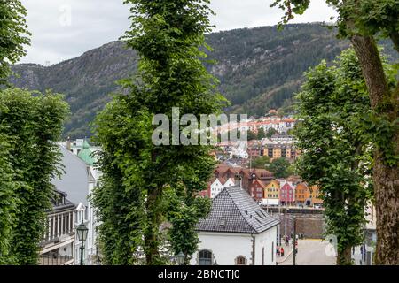 Alberi verdi sulle tradizionali strade scandinave a Bergen, Norvegia. Paesaggio di esplorazione della città nordica Foto Stock