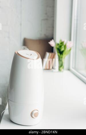 Immagini Stock - Umidificatore Ad Ultrasuoni Tra Piante D'appartamento.  Vasi Da Fiori Con Piante Succulente Sul Davanzale. Il Vapore Acqueo Idrata  L'aria Secca In Casa. Dispositivo Elettrico Per Un'atmosfera Confortevole  In Soggiorno..