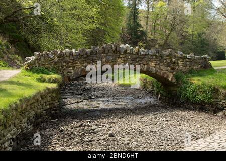 Il pittoresco fiume Skell praticamente asciugato e coperto di rocce e pietre, Studley Royal, Ripon, North Yorkshire, Inghilterra, REGNO UNITO. Foto Stock