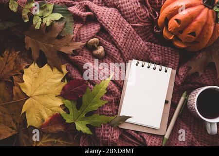 In autunno la composizione di Halloween. Tazza di tae, blanket, notebook con penna, autunno foglie essiccate e acorn. Appartamento laico, vista dall'alto, spazio di copia Foto Stock