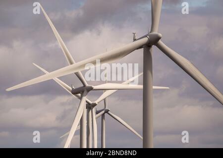 Whitelee Windfarm, Scozia, Regno Unito. 14 maggio 2020. Nella foto: Di proprietà di Scottish Power Renewables, Whitelee Wind Farm è la più grande azienda eolica a terra del Regno Unito con 215 turbine che generano una produzione totale di 539 megawatt di elettricità, sufficiente per alimentare appena meno di 300,000 abitazioni. Mentre il governo britannico e scozzese stanno pianificando una strategia di uscita per il blocco del coronavirus (COVID-19), la domanda di un maggiore utilizzo di energia deve essere equilibrata con le considerazioni e le responsabilità dei piani sul cambiamento climatico. Credit: Colin Fisher/Alamy Live News Foto Stock