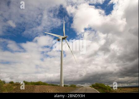 Whitelee Windfarm, Scozia, Regno Unito. 14 maggio 2020. Nella foto: Di proprietà di Scottish Power Renewables, Whitelee Wind Farm è la più grande azienda eolica a terra del Regno Unito con 215 turbine che generano una produzione totale di 539 megawatt di elettricità, sufficiente per alimentare appena meno di 300,000 abitazioni. Mentre il governo britannico e scozzese stanno pianificando una strategia di uscita per il blocco del coronavirus (COVID-19), la domanda di un maggiore utilizzo di energia deve essere equilibrata con le considerazioni e le responsabilità dei piani sul cambiamento climatico. Credit: Colin Fisher/Alamy Live News Foto Stock